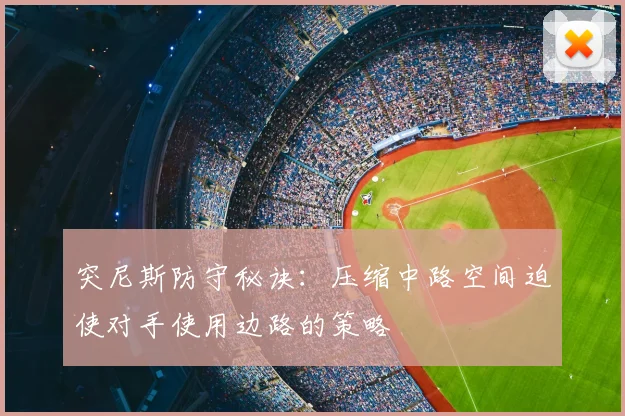 突尼斯防守秘诀：压缩中路空间迫使对手使用边路的策略