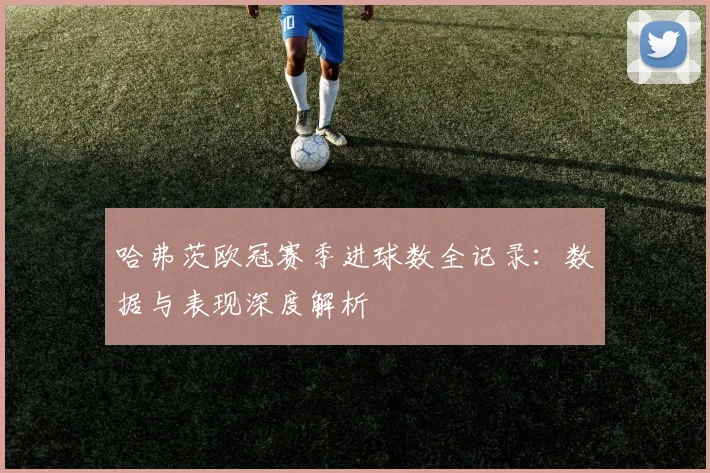 哈弗茨欧冠赛季进球数全记录：数据与表现深度解析
